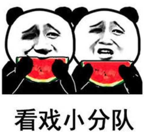 娱乐吃瓜最前排,吃瓜群众前排揭秘